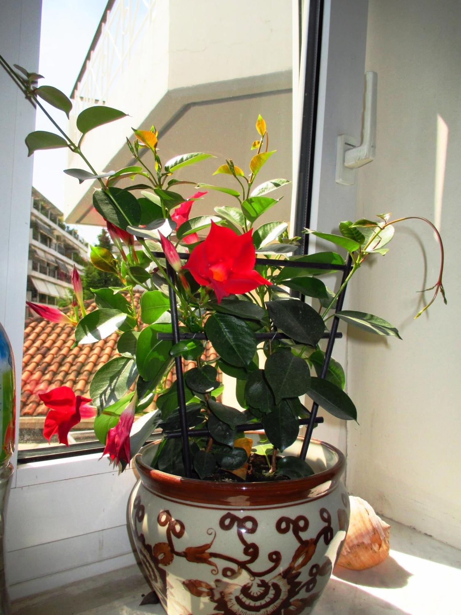 Nomads Rooms Trikala  Exterior foto